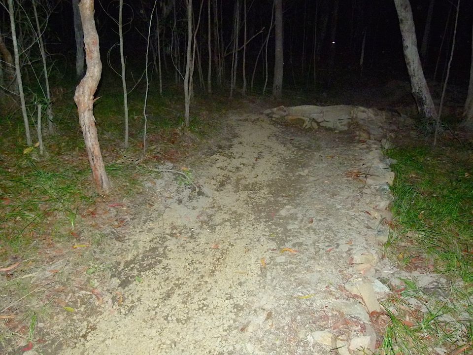 P1160390.jpg